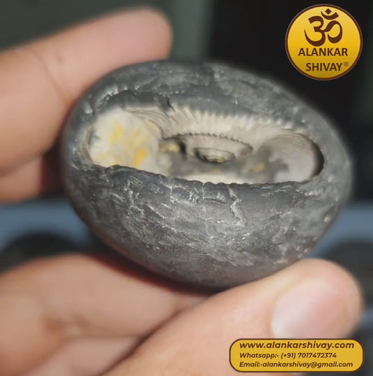 SHALIGRAM BHAGWAAN - LAXMI NARAYAN SHALIGRAM (ORIGINAL FROM GANDAK RIVER, NEPAL):