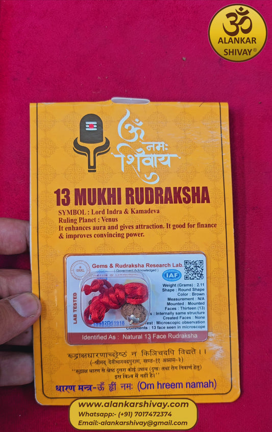 13 MUKHI RUDRAKSH WITH LAB CERTIFICATION(INDONESIAN ORIGIN)