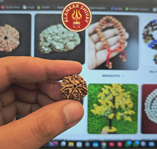 7 MUKHI RUDRAKSHA WITH X-RAY LAB CERTIFICATION (20 MM -24 MM BEADS)
