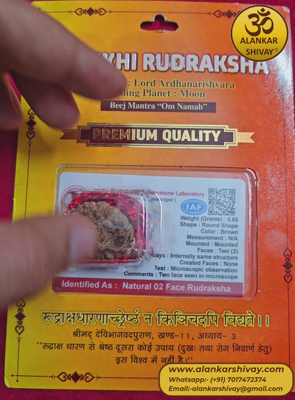 2 MUKHI RUDRAKSH WITH LAB CERTIFICATION