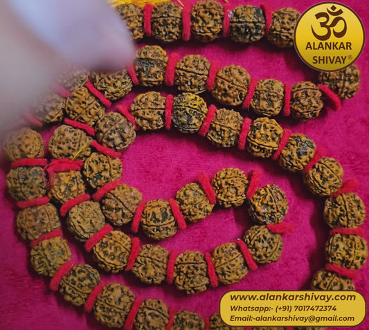 RUDRAKSH KANTHA MALA WITH RED CLOTH SPACING(15 MM BEADS)