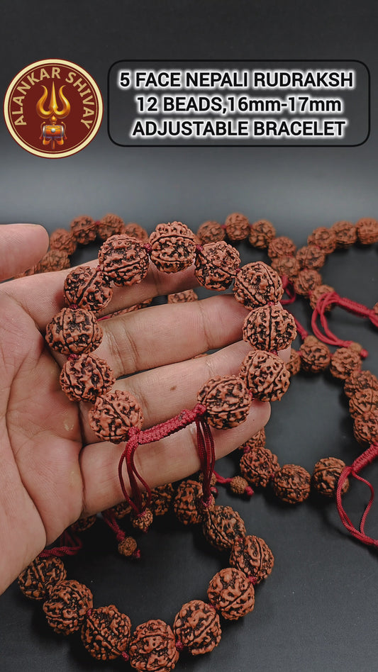 5 FACE NEPALI RUDRAKSH BRACELET (ADJUSTABLE SIZE)