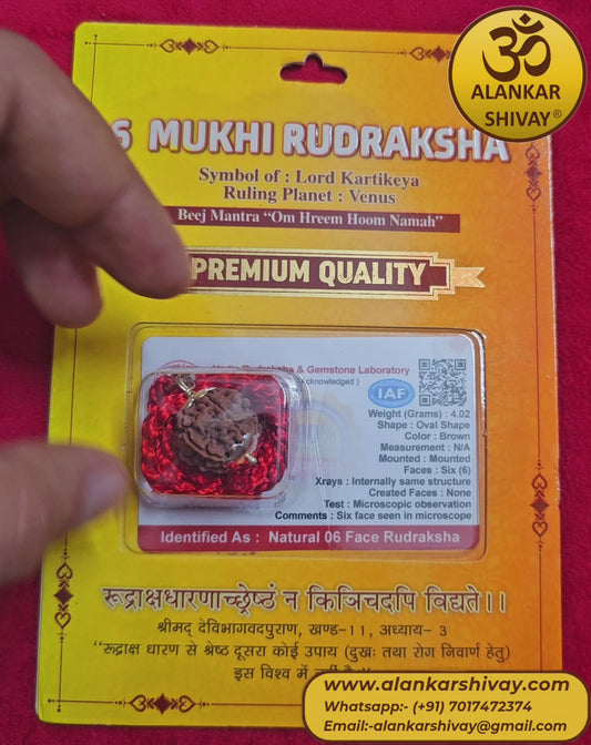 6 MUKHI NEPALI RUDRAKSH WITH LAB CERTIFICATION