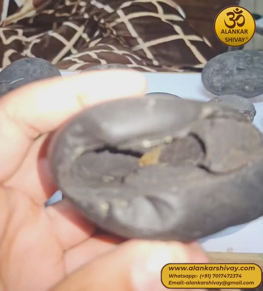 SHALIGRAM BHAGWAAN - LAXMI NARAYAN SHALIGRAM (ORIGINAL FROM GANDAK RIVER, NEPAL):