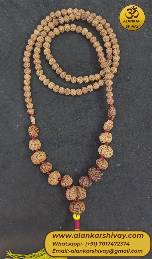 1 - 14 MUKHI RUDRAKSHA JAVA SIDDH MALA WITH LAB CERTIFICATION