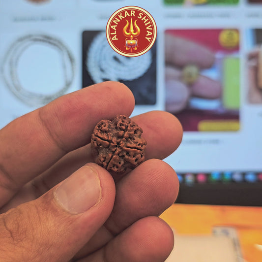 4 MUKHI RUDRAKSH NEPAL ORIGIN WITH X RAY LAB CERTIFICATION