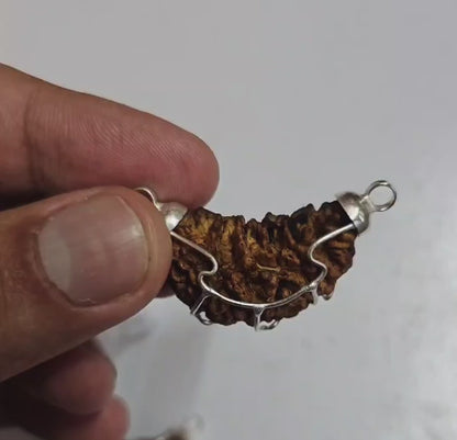 1 FACED ( 1 MUKHI ) RUDRAKSH (HALF MOON SHAPED) WITH GOVERNMENT AUTHORISED X RAY-LAB CERTIFICATION