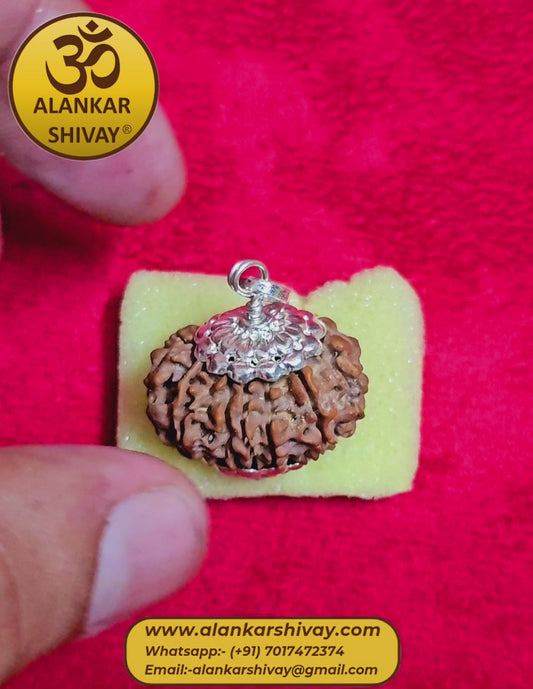 14 MUKHI RUDRAKSH NEPAL ORIGIN WITH LAB CERTIFICATION