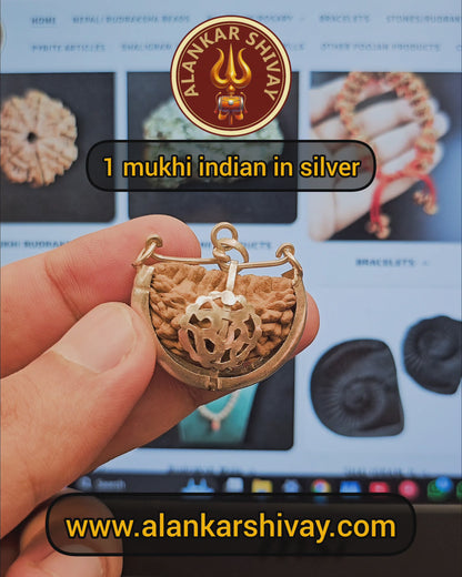 1 FACED (1 MUKHI) EK MUKHI RUDRAKSH (HALF MOON SHAPED) WITH GOVERNMENT AUTHORISED X RAY-LAB CERTIFICATION