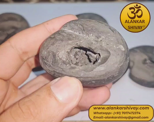 SHALIGRAM BHAGWAAN - LAXMI NARAYAN SHALIGRAM (ORIGINAL FROM GANDAK RIVER, NEPAL):