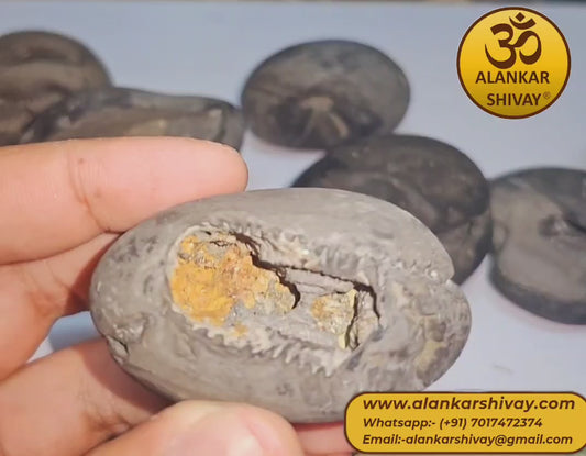 SHALIGRAM BHAGWAAN - LAXMI NARAYAN SHALIGRAM (ORIGINAL FROM GANDAK RIVER, NEPAL):