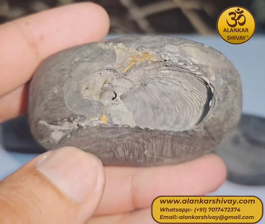 SHALIGRAM BHAGWAAN - LAXMI NARAYAN SHALIGRAM (ORIGINAL FROM GANDAK RIVER, NEPAL):