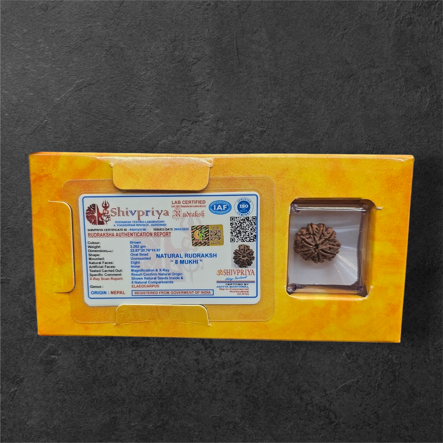 8 MUKHI RUDRAKSH NEPAL ORIGIN WITH LAB CERTIFICATION