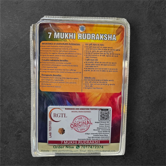 7 MUKHI RUDRAKSHA WITH LAB CERTIFICATION (15 MM -19 MM BEADS)