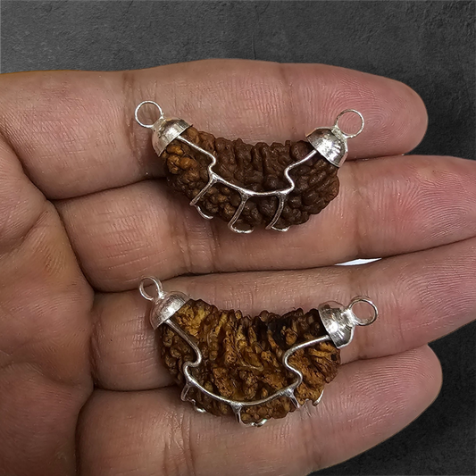 1 FACED ( 1 MUKHI ) RUDRAKSH (HALF MOON SHAPED) WITH GOVERNMENT AUTHORISED X RAY-LAB CERTIFICATION
