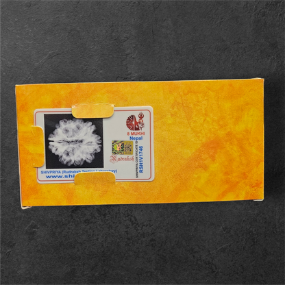 8 MUKHI RUDRAKSH NEPAL ORIGIN WITH LAB CERTIFICATION