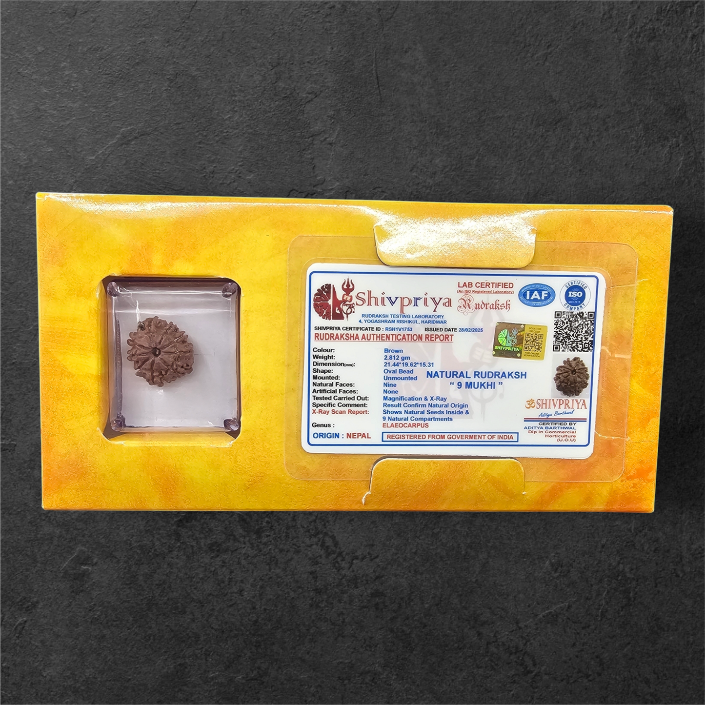 9 MUKHI RUDRAKSH NEPAL ORIGIN WITH LAB CERTIFICATION