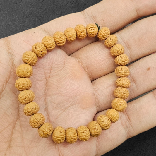 7 MUKHI RUDRAKSH BRACELET(7mm-8mm)