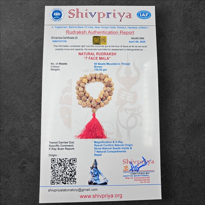 7 MUKHI NEPALI RUDRAKSHA MALA  (15MM -18MM BEADS)