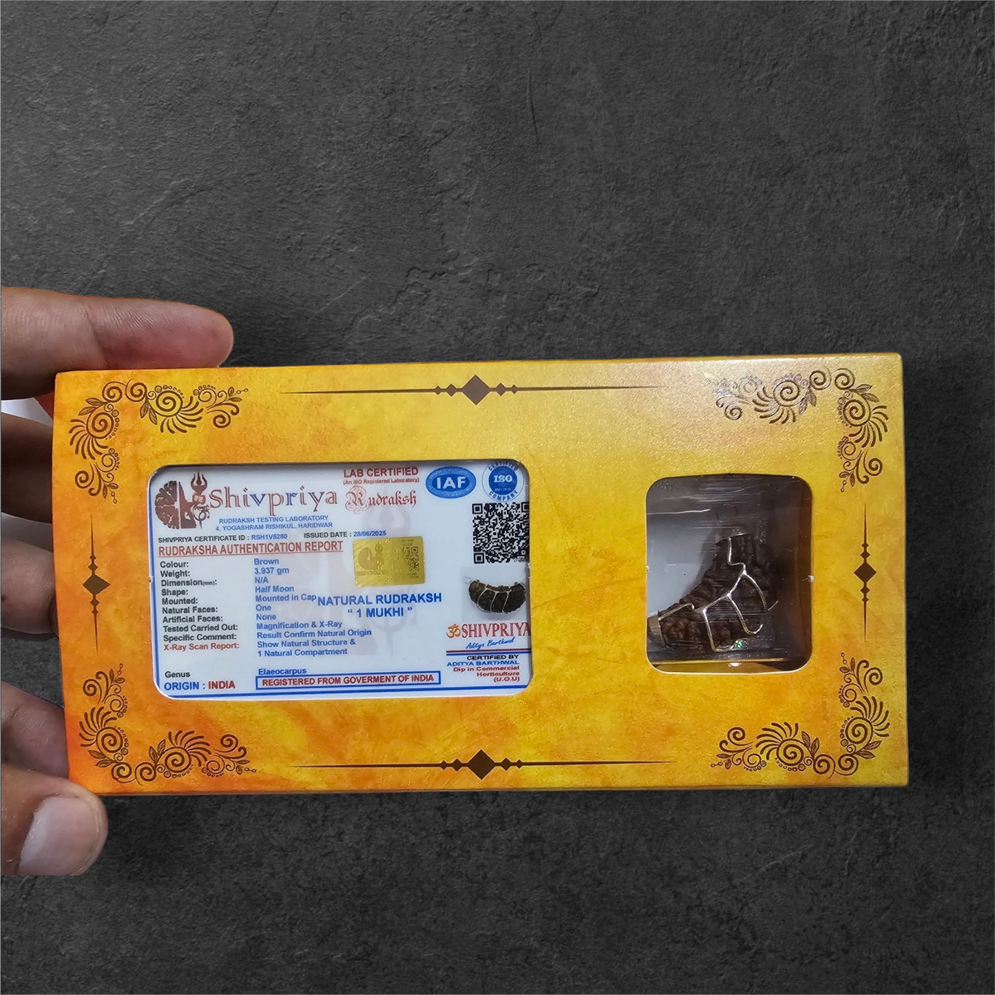 1 FACED ( 1 MUKHI ) RUDRAKSH (HALF MOON SHAPED) WITH GOVERNMENT AUTHORISED X RAY-LAB CERTIFICATION