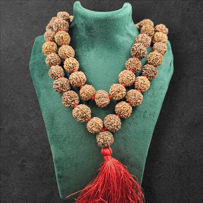 7 MUKHI NEPALI RUDRAKSHA MALA  (15MM -18MM BEADS)