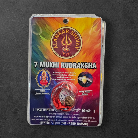 7 MUKHI RUDRAKSHA WITH LAB CERTIFICATION (15 MM -19 MM BEADS)