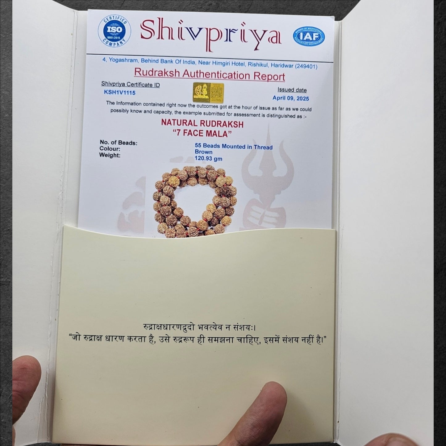 7 MUKHI NEPALI RUDRAKSHA MALA  (15MM -18MM BEADS)