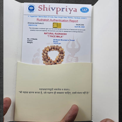 7 MUKHI NEPALI RUDRAKSHA MALA  (15MM -18MM BEADS)