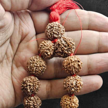 7 MUKHI NEPALI RUDRAKSHA MALA  (15MM -18MM BEADS)